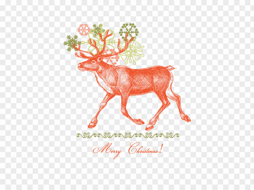 Painted Christmas Deer Elk Reindeer PNG