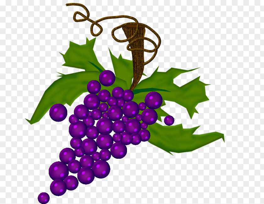 Raisin Grape Drawing Auglis PNG