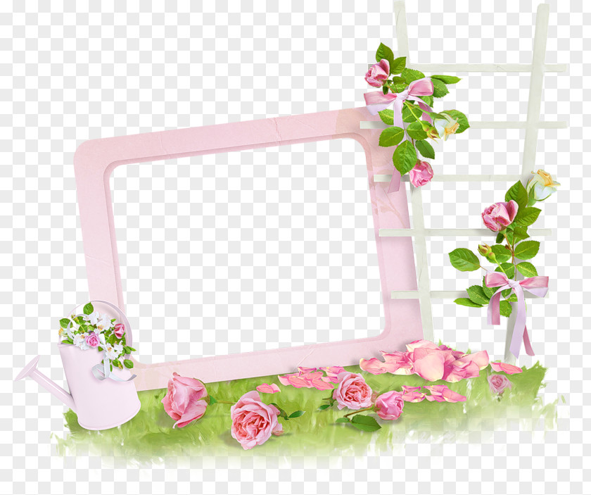 Beach Rose Picture Frames Flower Library PNG