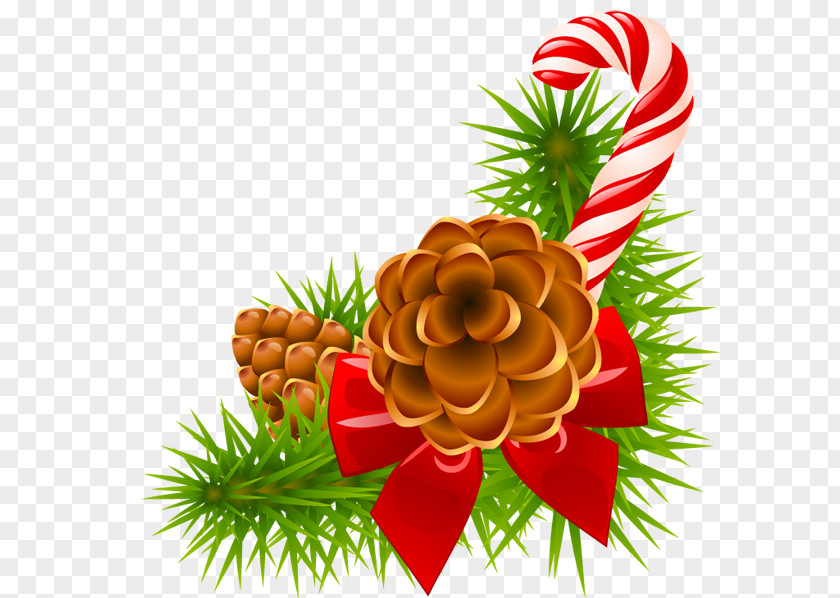 Christmas Tree Clip Art Pine Conifer Cone Day PNG