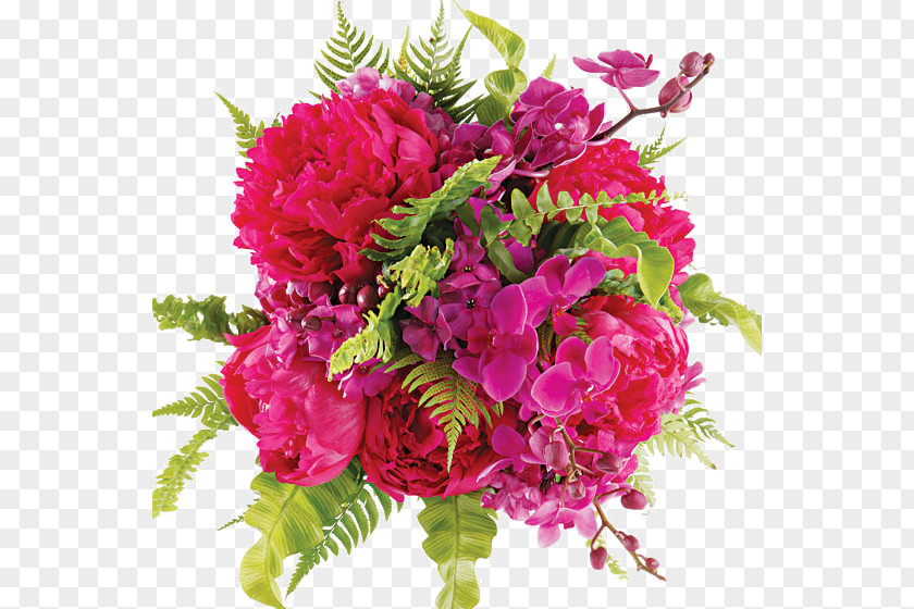 Floral Design Love Cut Flowers Friendship Valentine's Day PNG