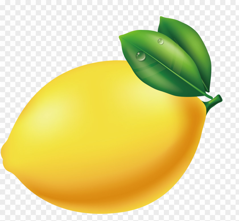 Grapefruit, Honey, Graphics, Painting Lemon Jar Illustration PNG