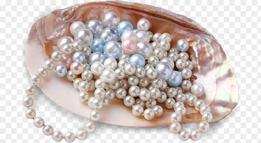 Jewellery Cultured Pearl Oyster Gemstone PNG