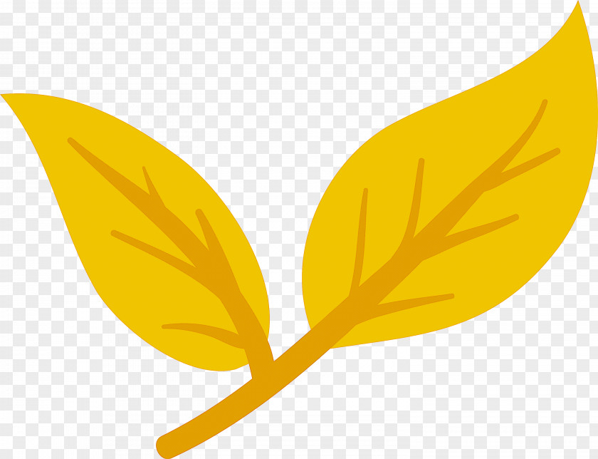 Meter Icon Leaf Computer Yellow PNG