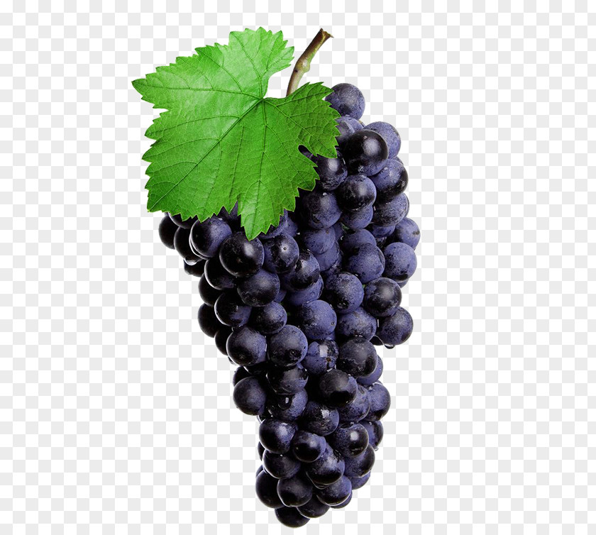 Purple Grape Green Leaves Red Wine Common Vine Isabella Juice Rosxe9 PNG