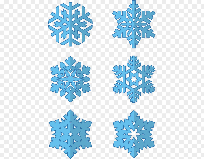 Vector Snowflakes Koch Snowflake Cold PNG