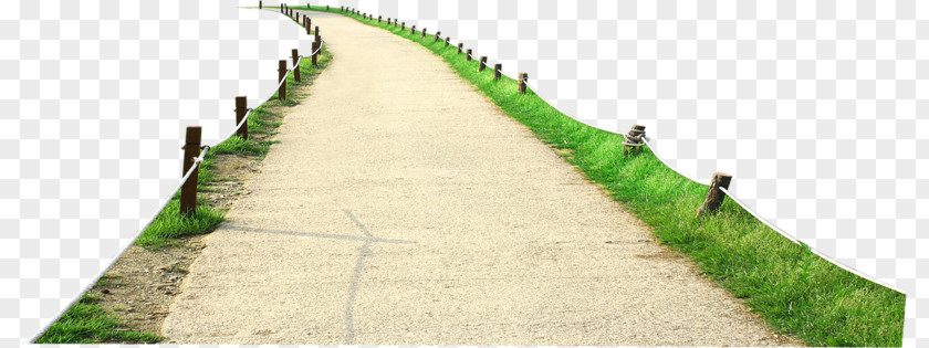 Green Grass On Both Sides Of The Road Path PNG