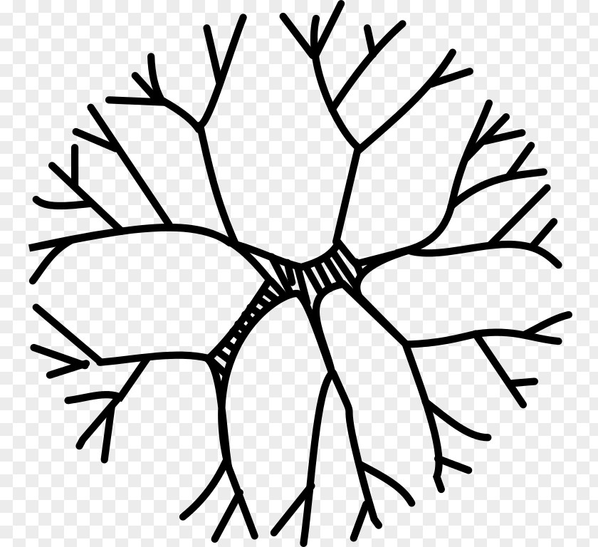 Ornimantal Twig Ornamental Plant Stem Clip Art PNG