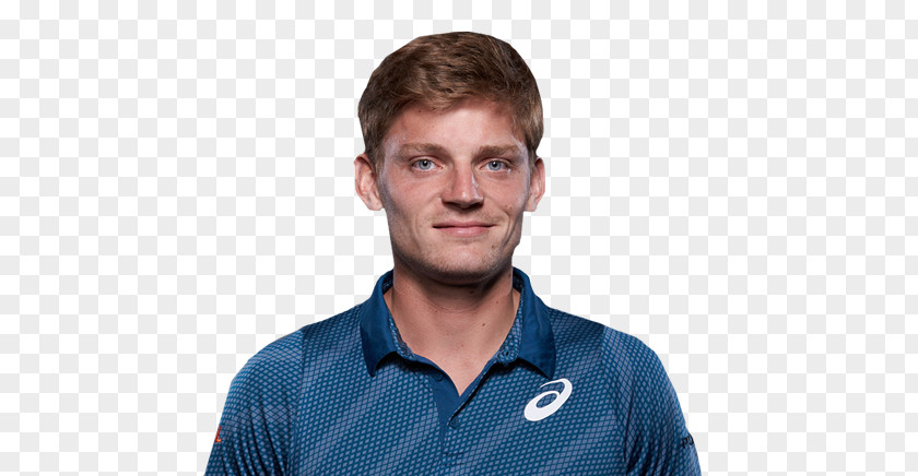 University Of Applied Sciences Stockholm 2011 ATP World Tour Finals Lund Central StationTennis Player Backlit Photo David Goffin HTW Berlin PNG