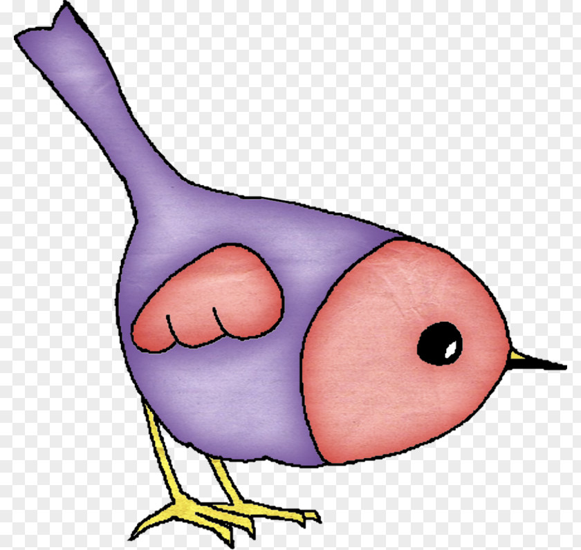 Cartoon Chick Chicken Clip Art PNG