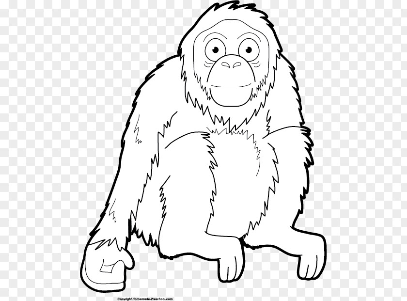 Orangutan Clipart Drawing Art Clip PNG