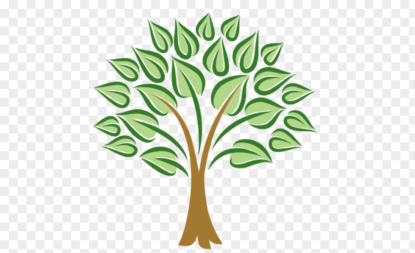 Tree Logo Ecovillage Community Health Care LinkedIn PNG