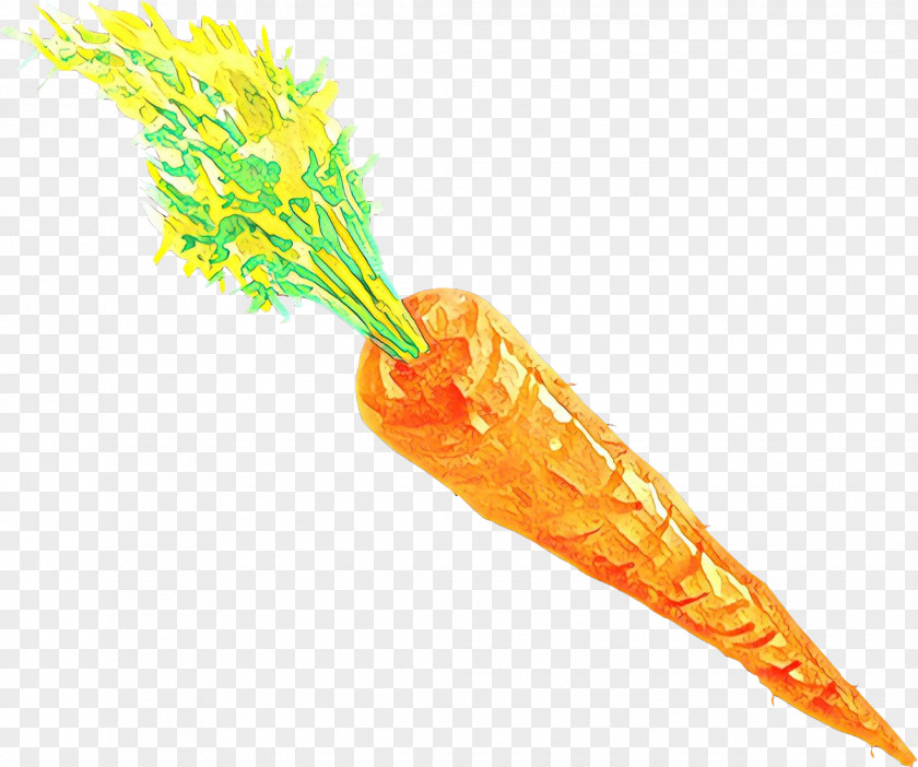 Vegetable Plant Carrot Cartoon PNG