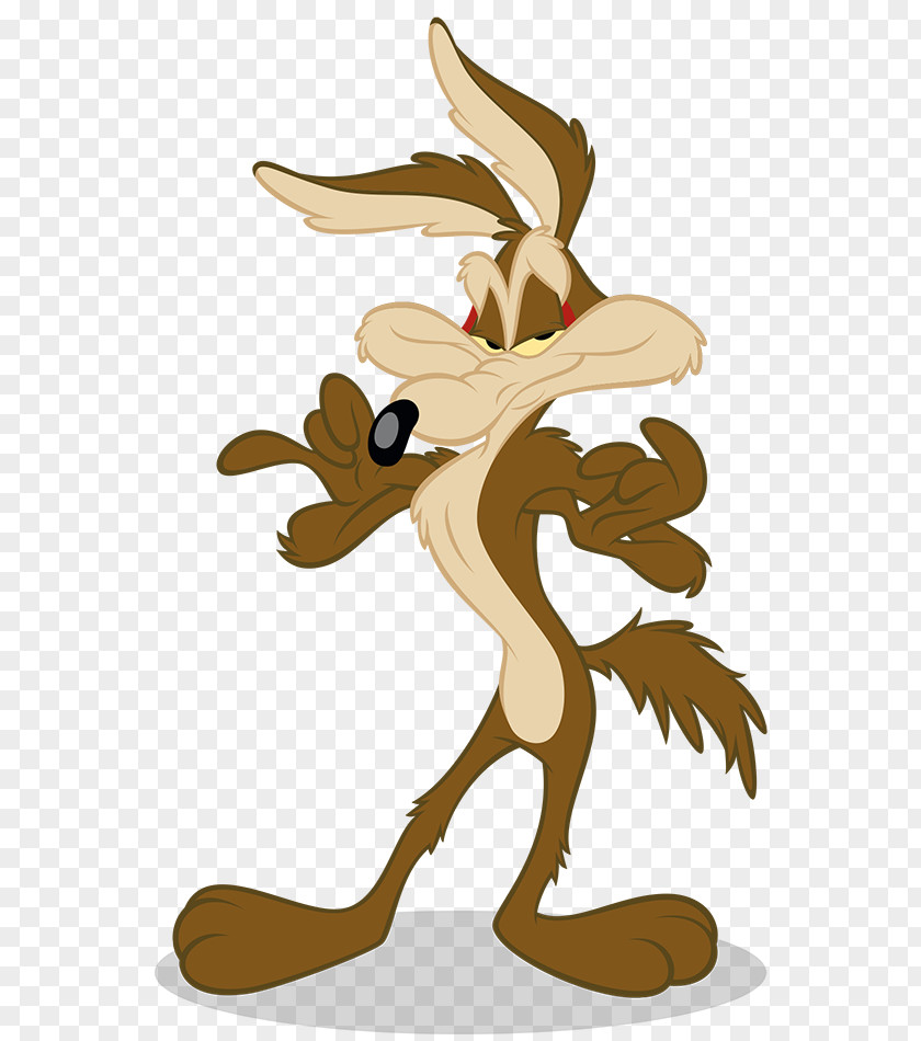 Wild Duck Wile E. Coyote And The Road Runner Looney Tunes Cartoon PNG