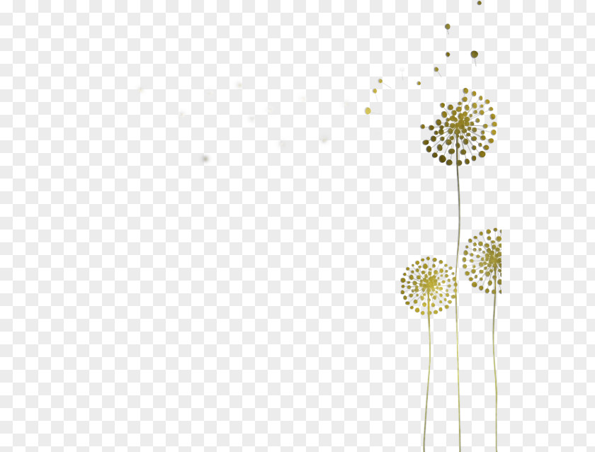 Wildflower Pedicel Dandelion Flower Plant Line PNG