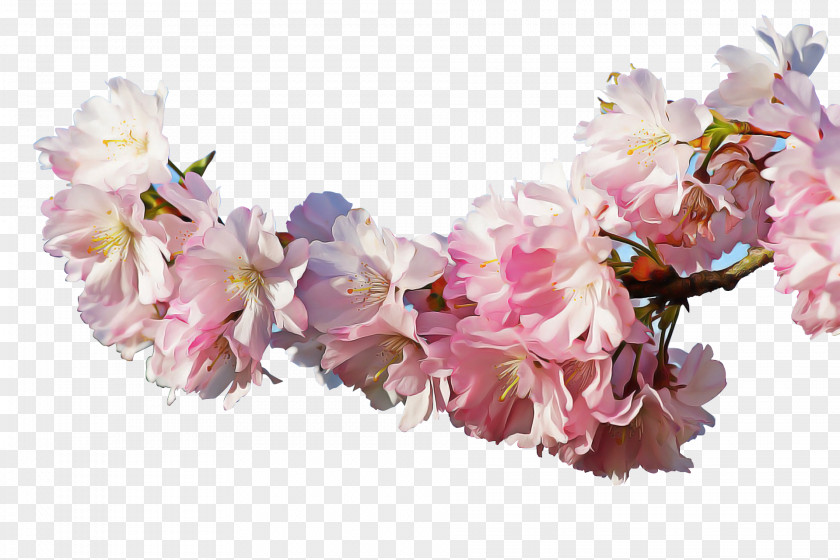 Artificial Flower PNG