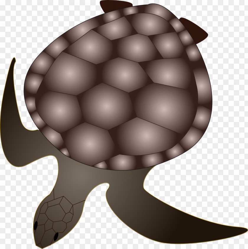 Creatures Green Sea Turtle Reptile Tortoise Animal PNG