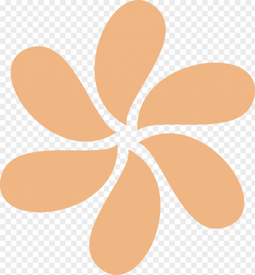 Floral Border Vector Material Software Design Pattern Symbol PNG