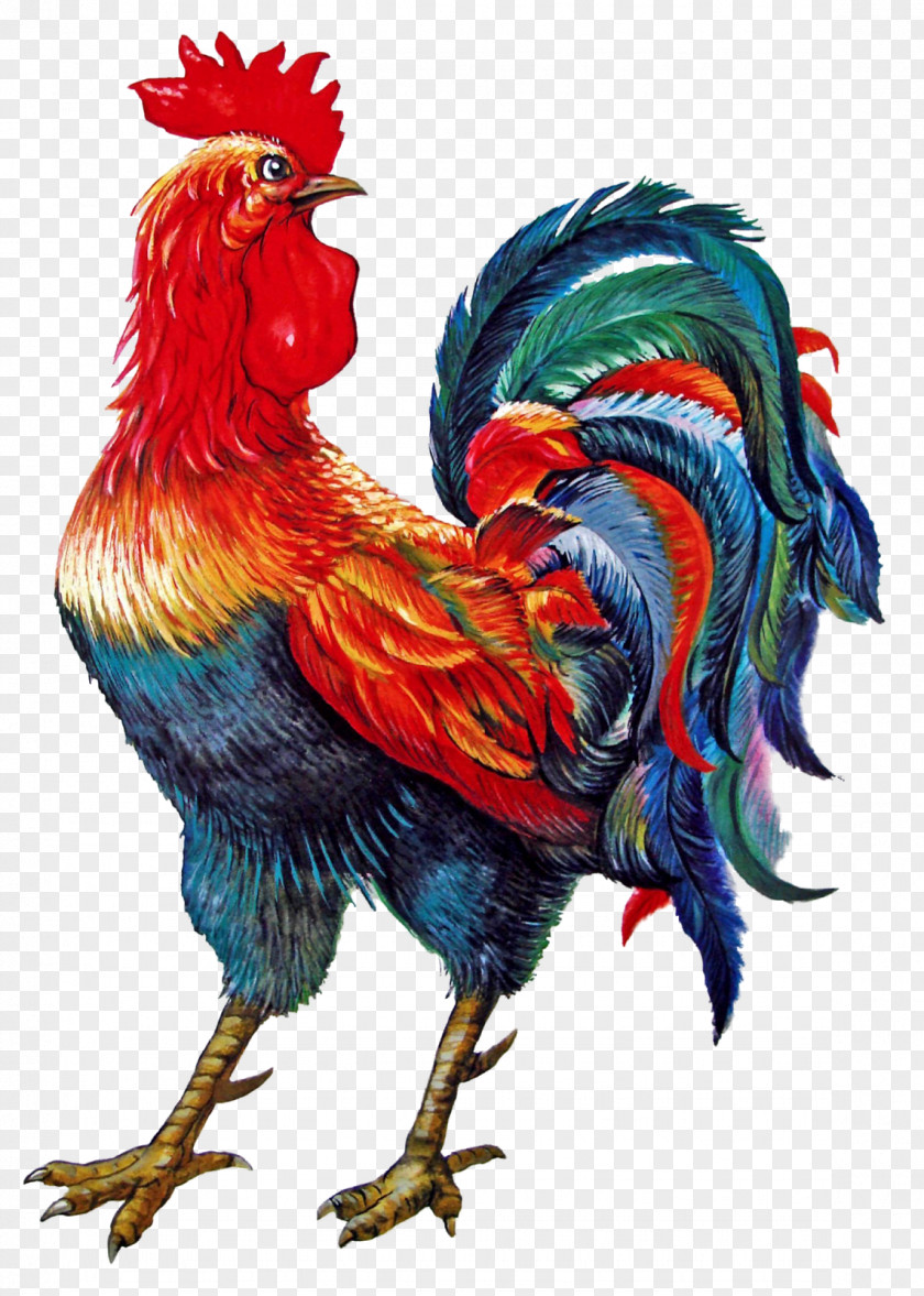 Rooster Chicken Symbol 0 Photography PNG