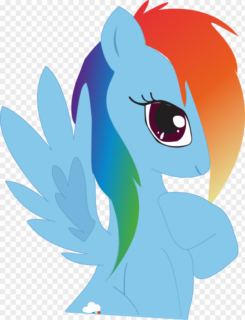 Shy Vector Pony Rainbow Dash Rarity Twilight Sparkle Fluttershy PNG