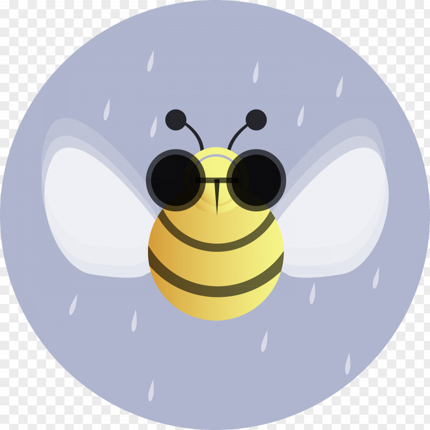 Apis Bee Beta Muscae Cartoon Smiley Image PNG