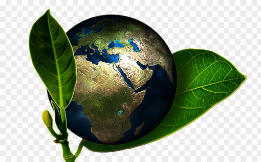 Earth Conservation Natural Environment Environmental Protection Nature PNG