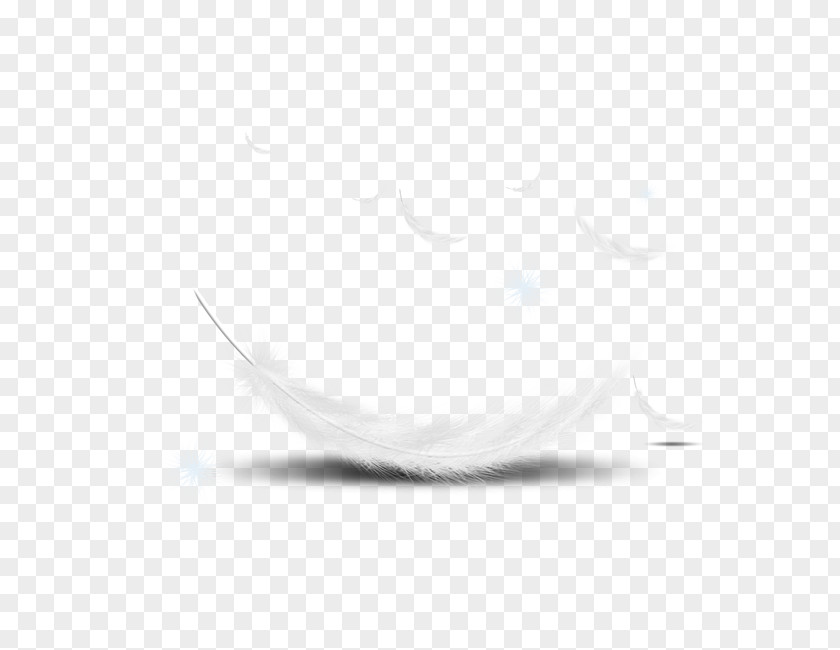 Feather The Floating White PNG