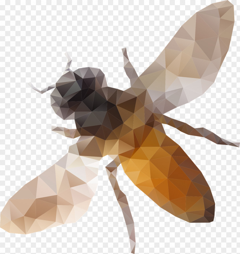 Geometric Decoration Insect Western Honey Bee Low Poly Clip Art PNG