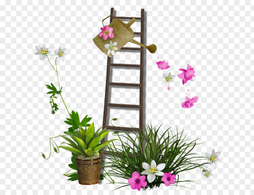 Ladder Garden Clip Art PNG