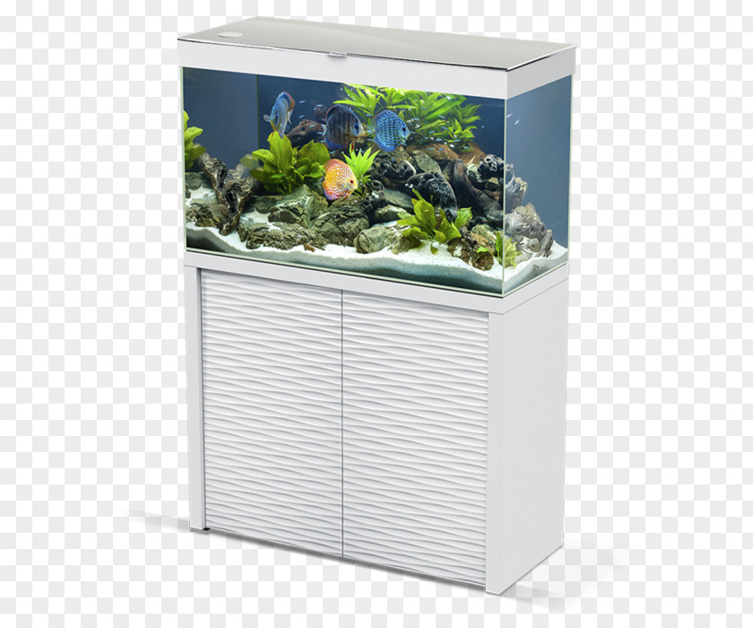 Tropical Fish Pond Aquarium Filters Matériel D'aquarium Akvariesæt, Legetøj, Pris Pr. Stk Fishkeeping PNG