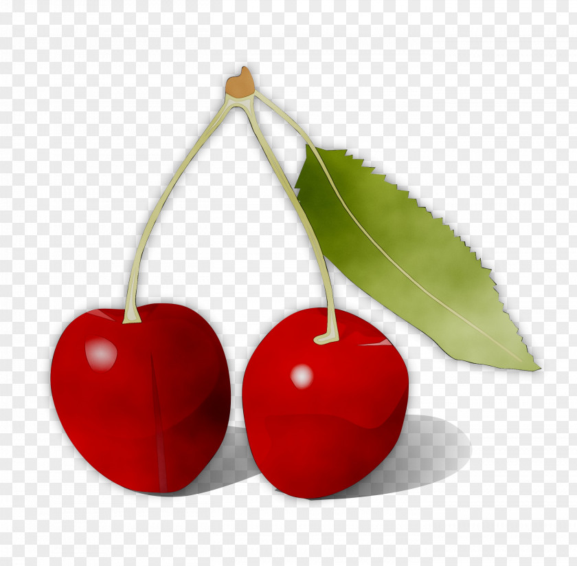 Clip Art Cherries Image Transparency PNG