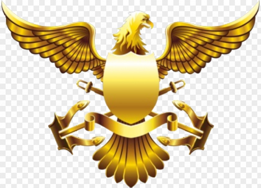 Falcon Golden Eagle American Gold PNG