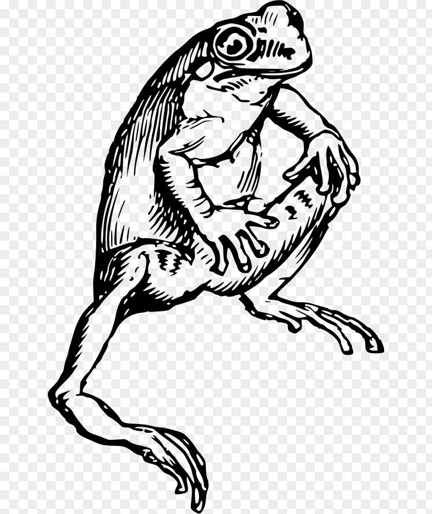 Frog T-shirt Drawing Clip Art PNG