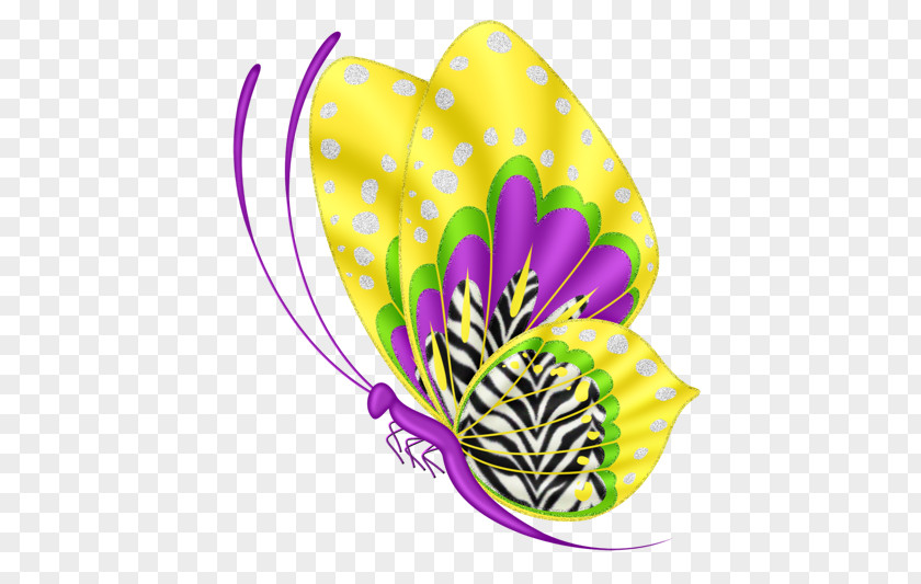 Golden Butterfly Papillon Dog Clip Art PNG