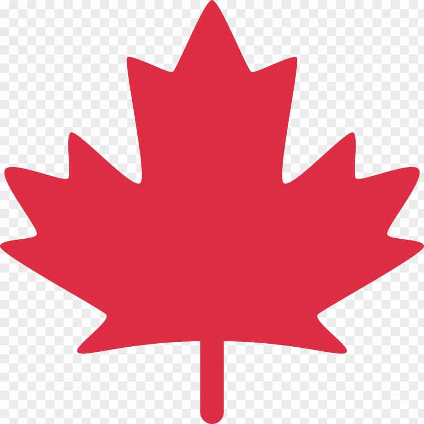 Medal Flag Of Canada Maple Leaf The United States PNG