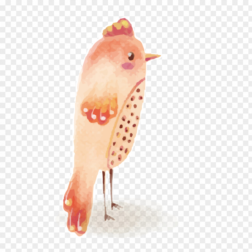 Pink Cartoon Bird PNG