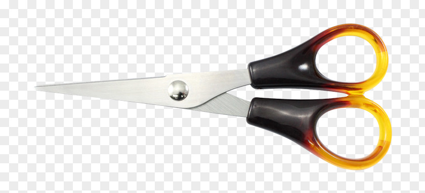 Tailor Scissors Hair-cutting Shears PNG