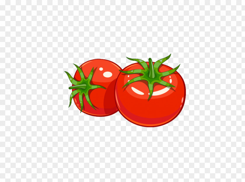 Hand Drawn Tomato Juice Pizza Soup PNG