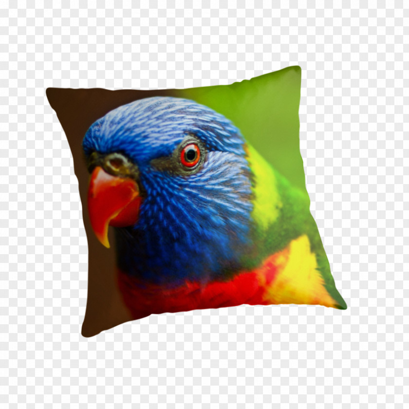 Lories And Lorikeets Macaw Cushion Pillow Feather Beak PNG