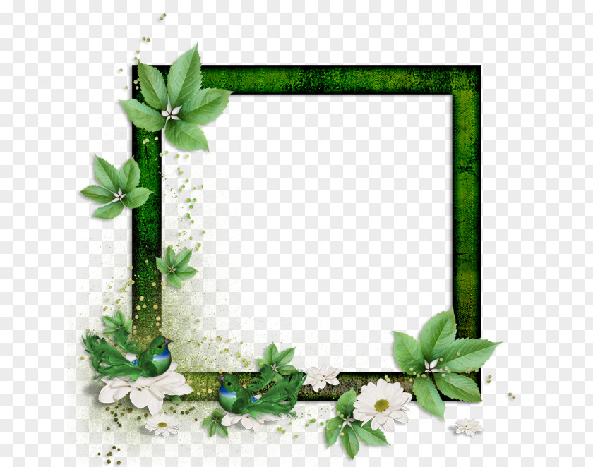 Picture Frames Paper Photography PNG