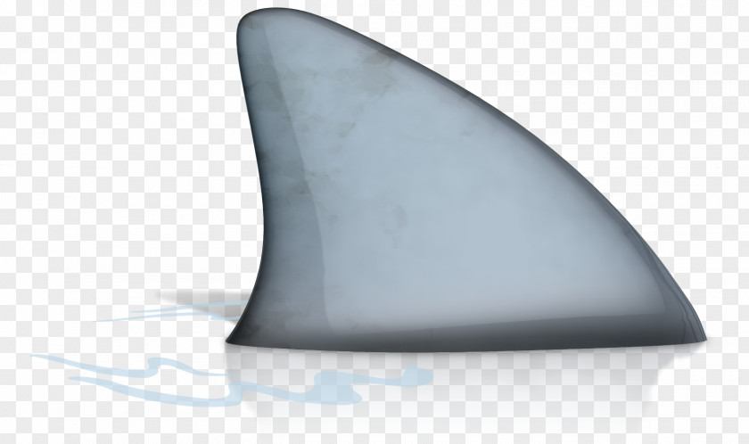 Sharks Technology Angle PNG
