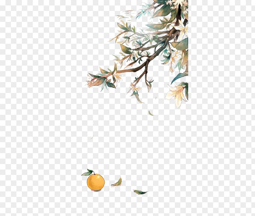 Drawing Welt Persimmon Tree Leaves Samsung Galaxy A5 (2017) Trend Lite Huawei Honor 9 Wallpaper PNG
