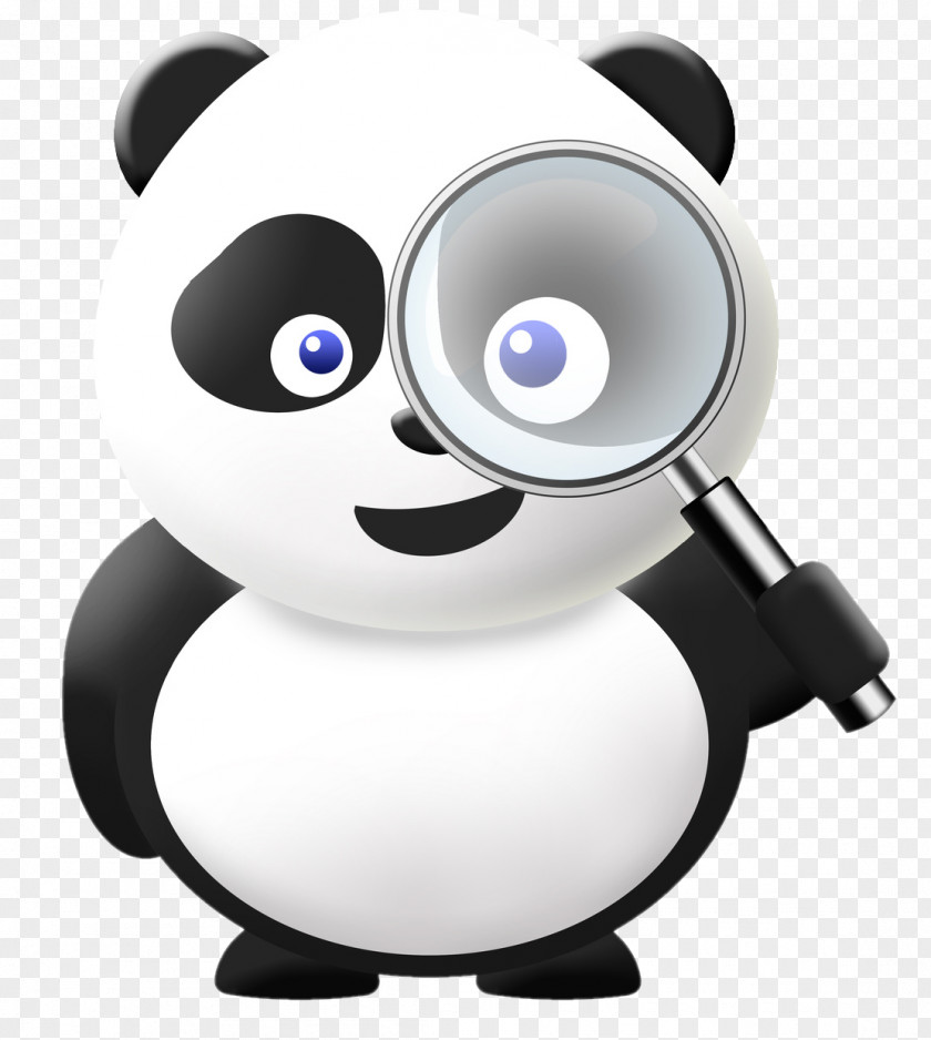 Google Panda Algorithm Search Engine Optimization PNG