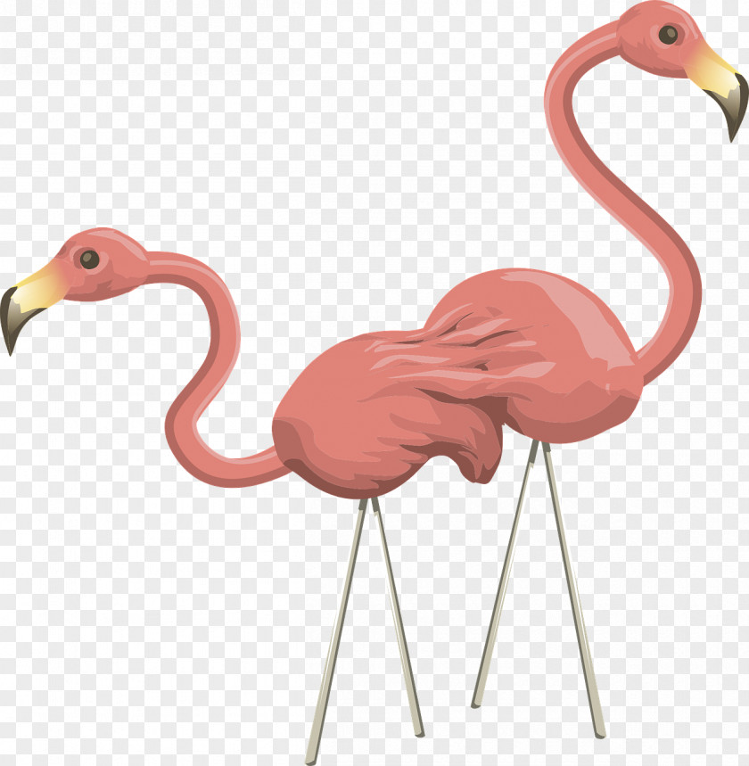 Pink Ostrich Flamingo Drawing Clip Art PNG