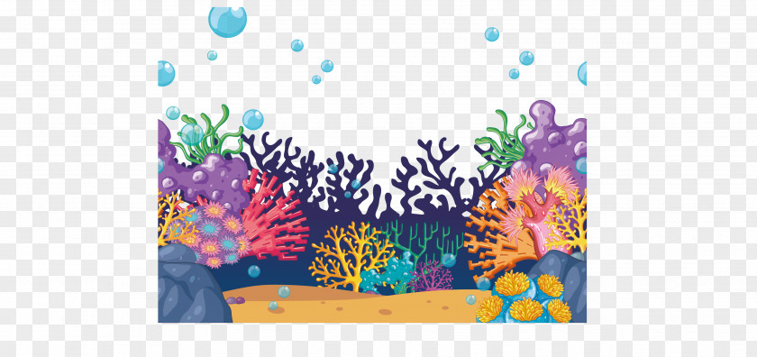 Beautiful Seabed Coral PNG