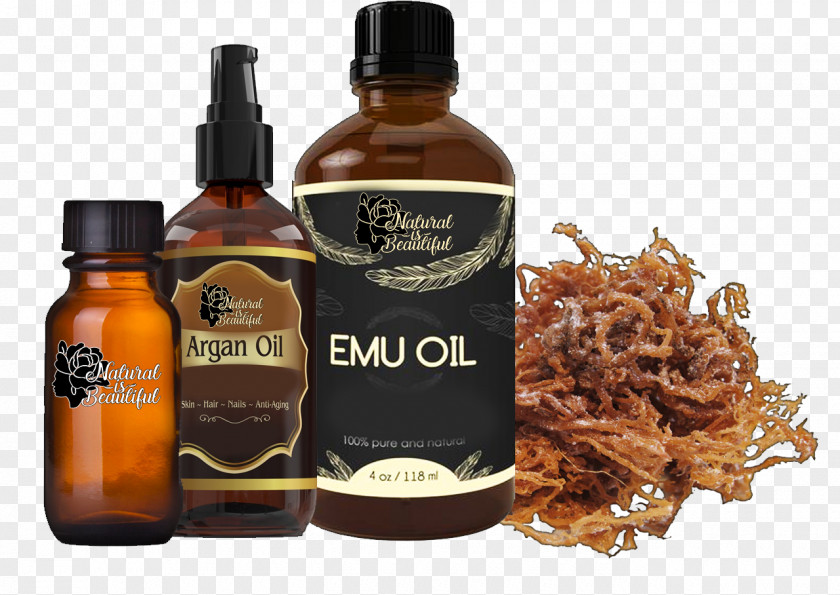 Herb Oil Pound Flavor Cancer Article PNG