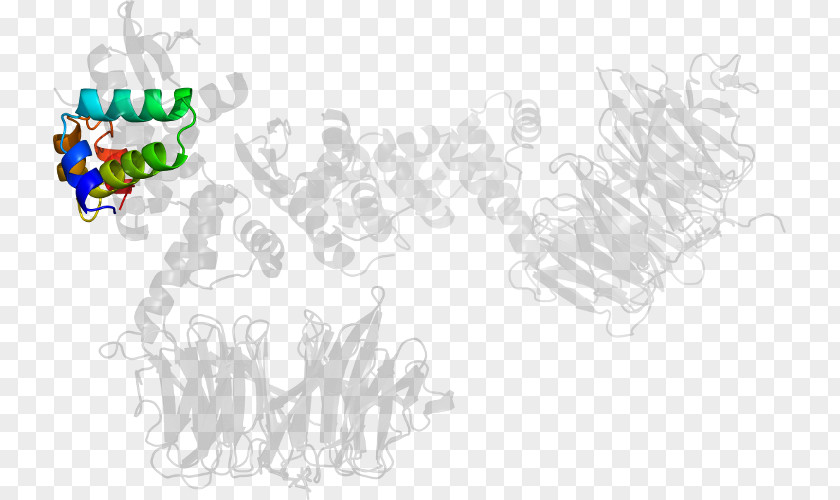 Line Art Graphic Design Cartoon Clip PNG