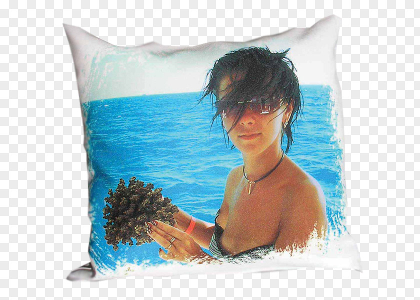 Pillow Throw Pillows Cushion Photography PNG