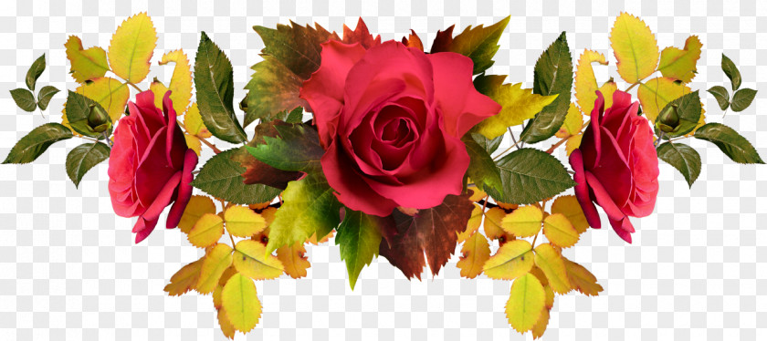 Rose Garden Roses Cut Flowers Farmerama PNG