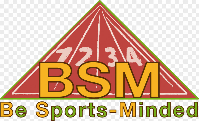 BSN Sports Logo Product .be PNG